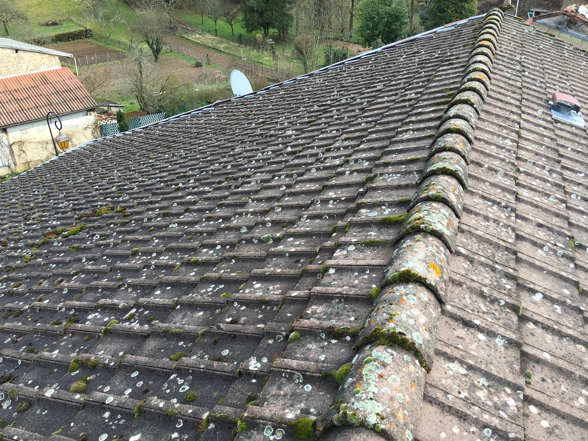 toiture béton mousse lichen