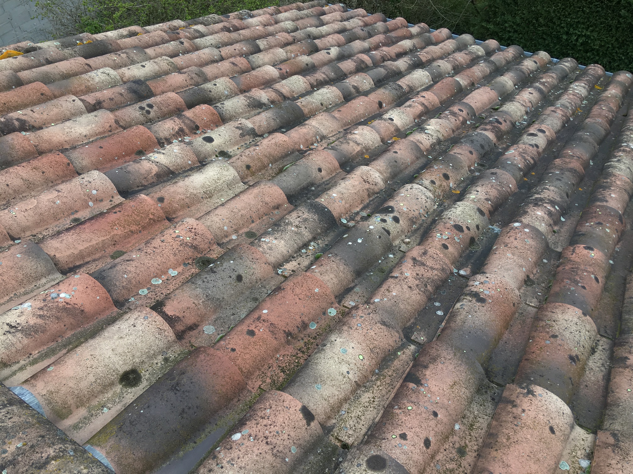entretien nettoyage décapage toit Ain Rhône Isère  Gaty Traitements Isolation