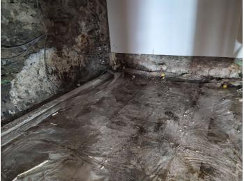 humidité bois ventilation champignon pourriture  Gaty Traitements Isolation Ain Rhône Isère Saône et Loire