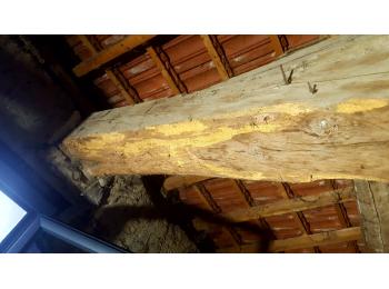 Le 17 Décembre à 69730 Genay